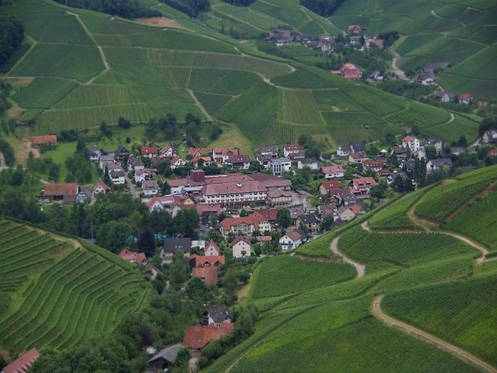 Gasthaus Hohberg Durbach Eksteriør billede